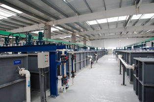 卓越典范 某企业成功入选首批国家级绿色工厂，引领行业绿色发展新航向