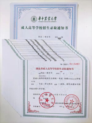 武汉五大专升本咨询机构综合评述与企业技术咨询视角